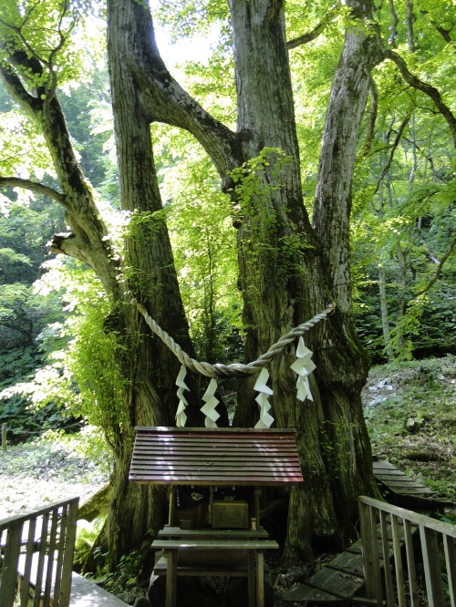 Enkatsura shrine